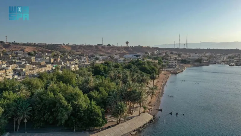 محافظة حقل.. طبيعة خلابة تحتضن البحر على خليج العقبة (فيديو)