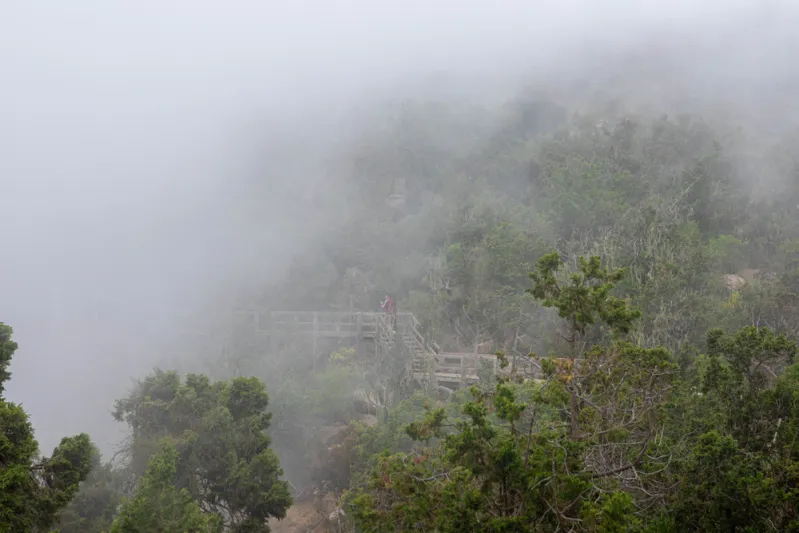 الأمطار وحبات البرد تضرب عسير في الصيف (فيديو)