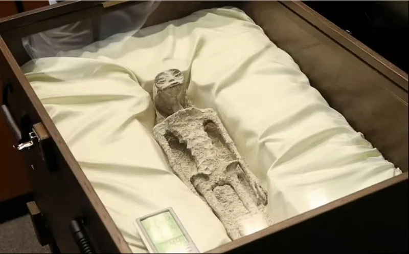 لها أيادٍ بـ 3 أصابع ودون أسنان.. مخلوقات غريبة أمام البرلمان المكسيكي (فيديو)