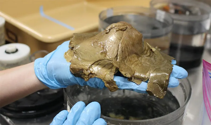 أثار حيرة العلماء.. اكتشاف جسم ذهبي غريب في قاع المحيط