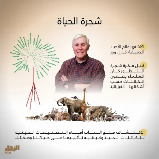 7 اكتشافات علمية كانت تستحق الفوز بنوبل.. هل تعرفها؟ 7 اكتشافات علمية كانت تستحق الفوز بنوبل.. هل تعرفها؟