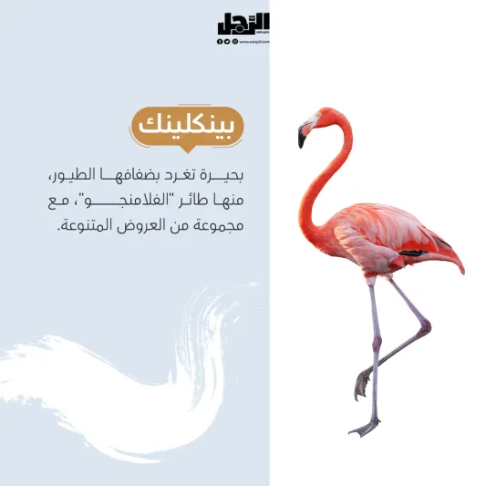 تجارب جديدة ومبهرة في رياض زوو افتتاح منطقة حديقة الحيوانات وتجارب الطبيعة في موسم الرياض "رياض زوو"
