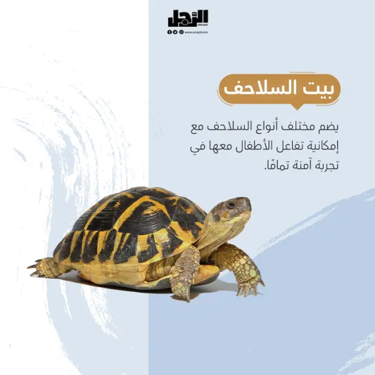 تجارب جديدة ومبهرة في رياض زوو افتتاح منطقة حديقة الحيوانات وتجارب الطبيعة في موسم الرياض "رياض زوو"