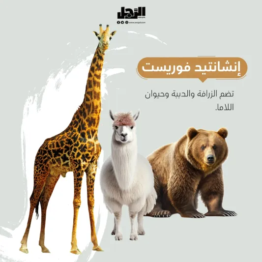 تجارب جديدة ومبهرة في رياض زوو افتتاح منطقة حديقة الحيوانات وتجارب الطبيعة في موسم الرياض "رياض زوو"