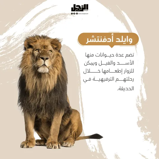 تجارب جديدة ومبهرة في رياض زوو افتتاح منطقة حديقة الحيوانات وتجارب الطبيعة في موسم الرياض "رياض زوو"