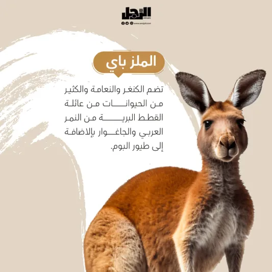 تجارب جديدة ومبهرة في رياض زوو افتتاح منطقة حديقة الحيوانات وتجارب الطبيعة في موسم الرياض "رياض زوو"