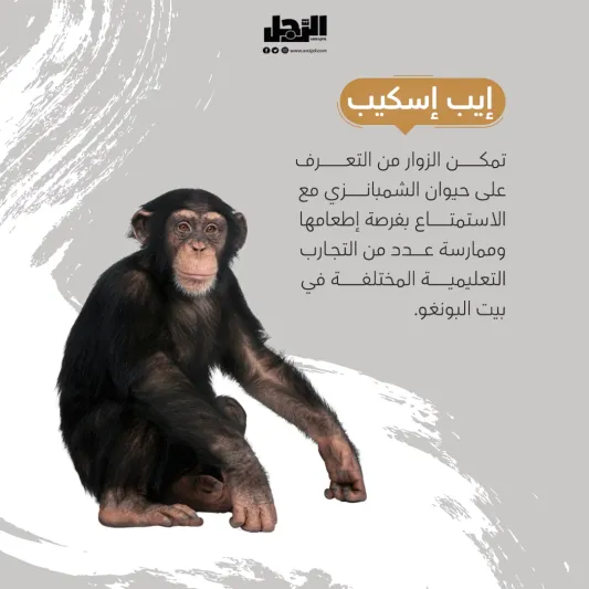 تجارب جديدة ومبهرة في رياض زوو افتتاح منطقة حديقة الحيوانات وتجارب الطبيعة في موسم الرياض "رياض زوو"