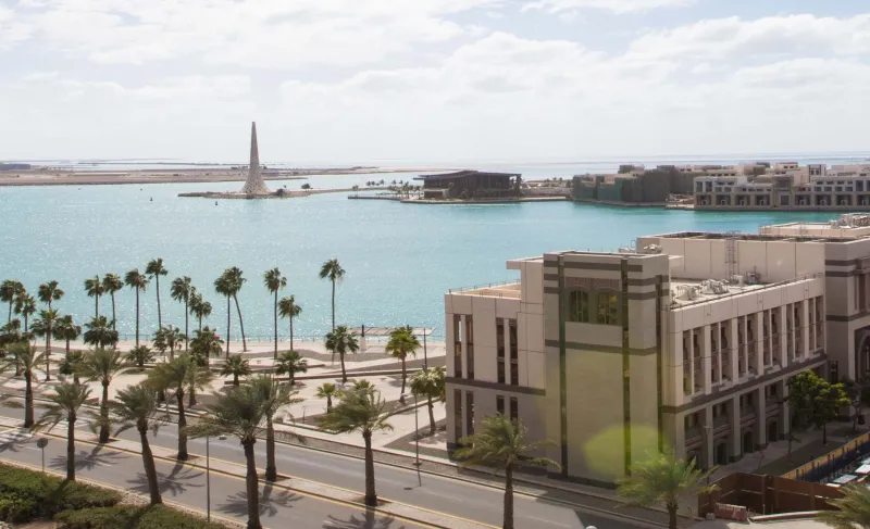 علماء "كاوست" بين الأكثر تأثيرًا في العالم