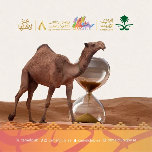 اليوم.. انطلاق مهرجان الملك عبد العزيز للإبل تحت شعار "عز لأهلها"