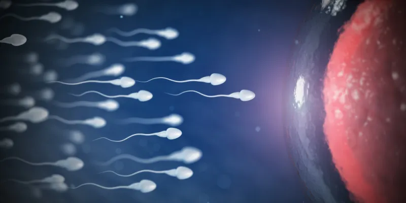 الإنجاب يطيل العمر في هذه الحالة