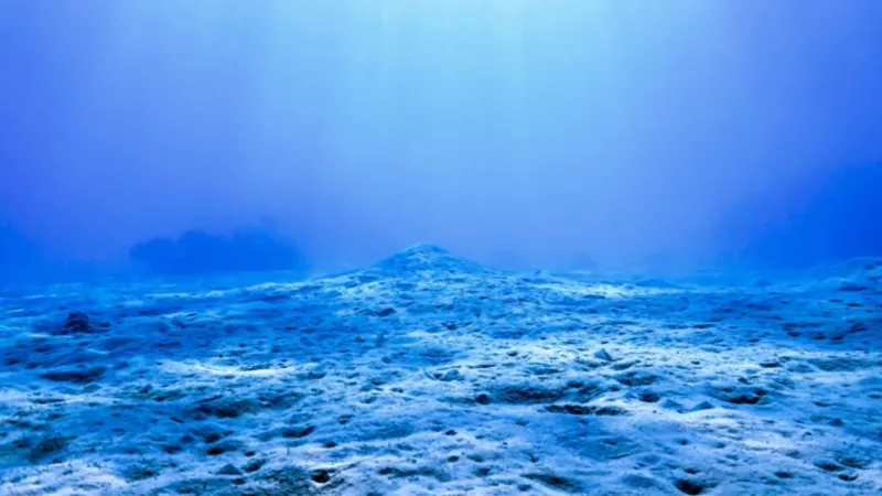 اكتشاف سبب الحفر الغريبة في قاع البحر الشمالي