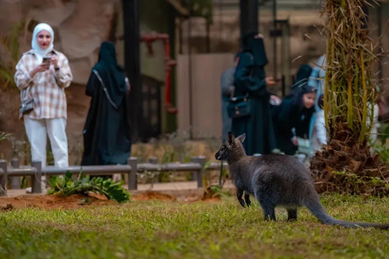 بوليفارد وورلد الرياض.. رحلة إلى العالم في يوم واحد