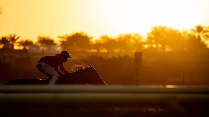 مهرجان الأمير سلطان بن عبد العزيز.. نخبة الخيول العربية تتنافس في الرياض