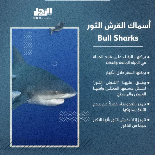 الأسماك الأكثر شراسة بالعالم