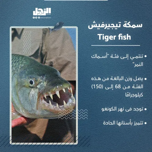 الأسماك الأكثر شراسة بالعالم