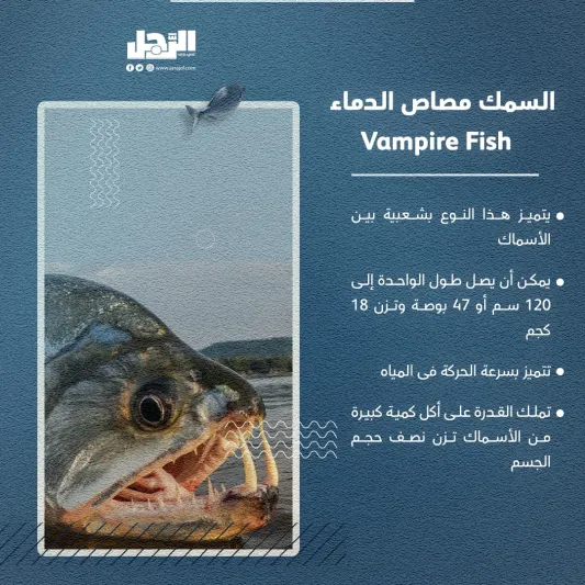 الأسماك الأكثر شراسة بالعالم