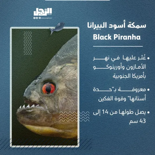 الأسماك الأكثر شراسة بالعالم