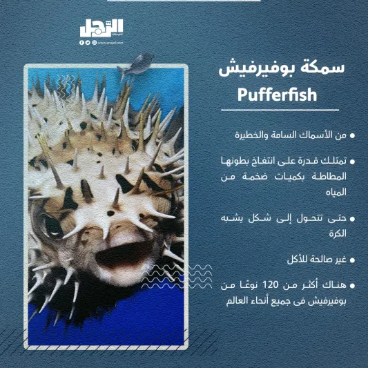 الأسماك الأكثر شراسة بالعالم