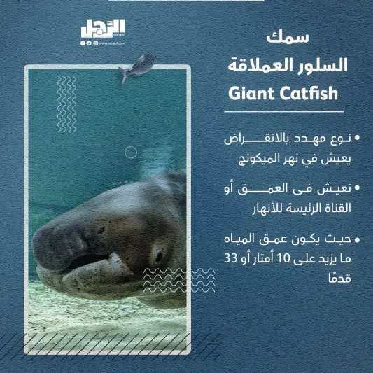 الأسماك الأكثر شراسة بالعالم