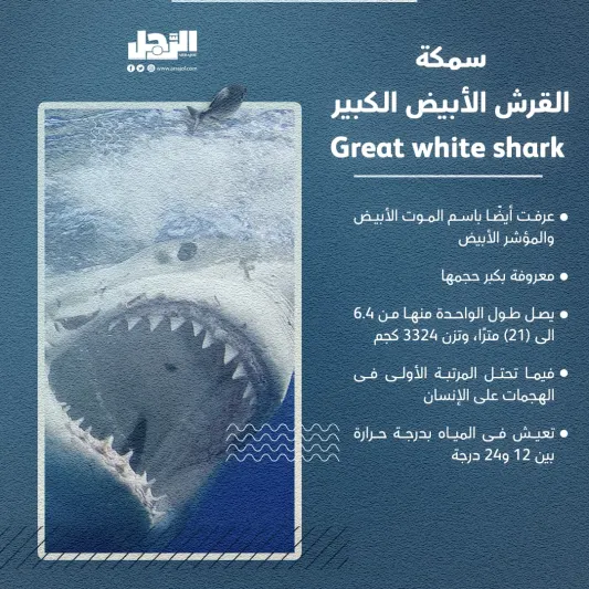 الأسماك الأكثر شراسة بالعالم