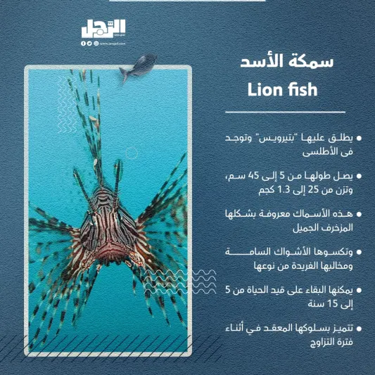 الأسماك الأكثر شراسة بالعالم