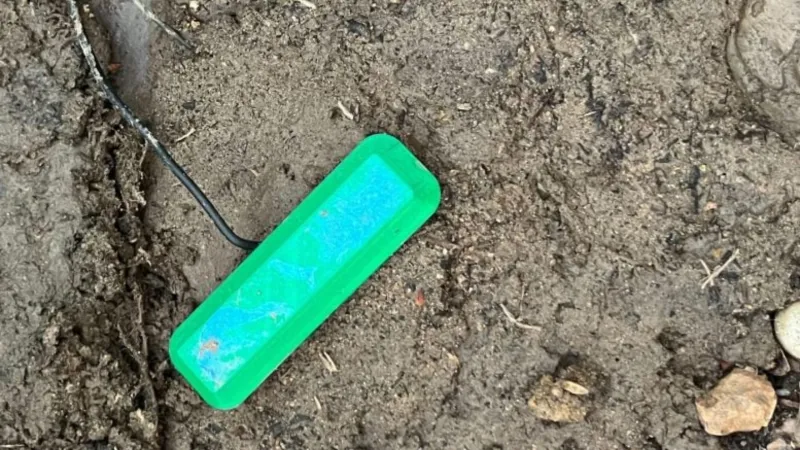 علماء يتوصلون إلى تقنية جديدة لزيادة إنتاجية المحاصيل الزراعية 