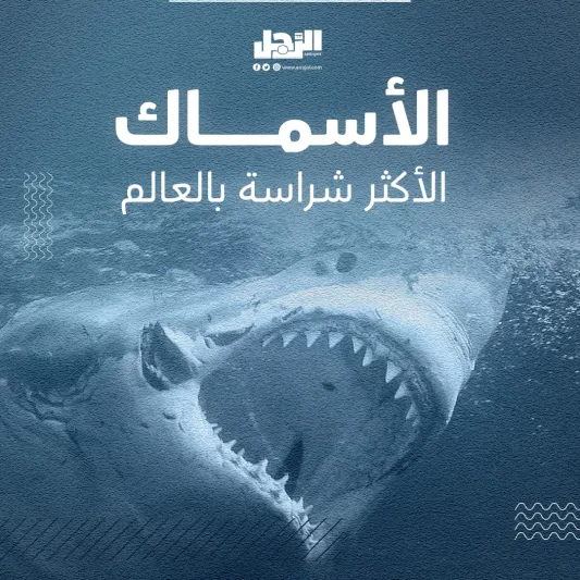 الأسماك الأكثر شراسة بالعالم