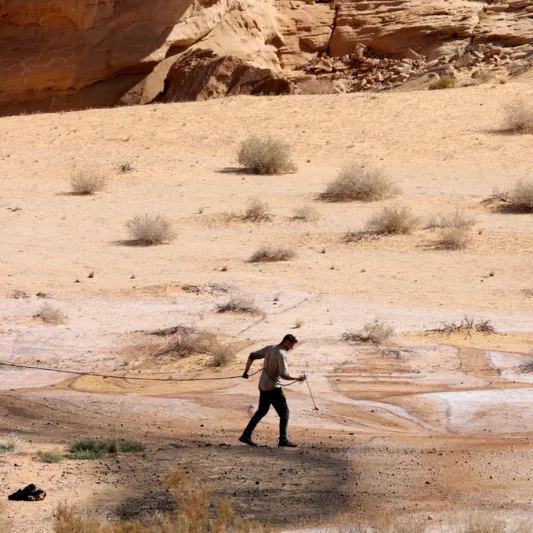 الفنان الأمريكي "ديفيد بوبا" يخلد إرث العُلا بلوحة استثنائية (فيديو)