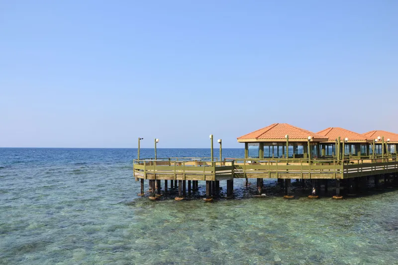 "أمانة جدة" تعلن تفعيل 5 شواطئ لمرتادي المحافظة