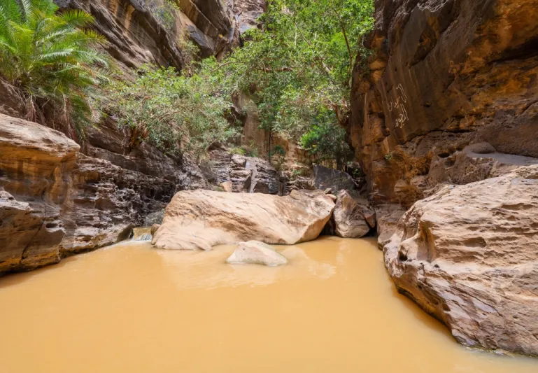 عشرات الآلاف من الزوار يستمتعون بمهرجان "شتاء جازان 2024"