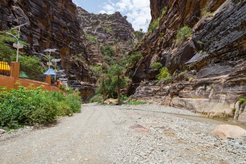 إقبال كبير من الزوار على "ممر الغروب" بمدينة جيزان