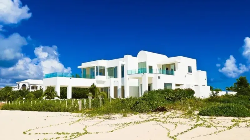 عرض قصر الملياردير "ستيف وين" للبيع مقابل 65 مليون دولار