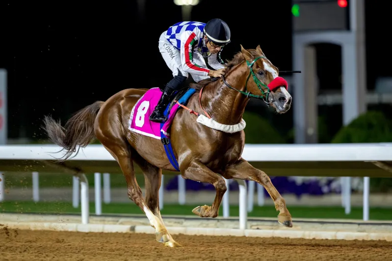 برعاية خادم الحرمين الشريفين.. انطلاق كأس الملك عبد العزيز للخيل