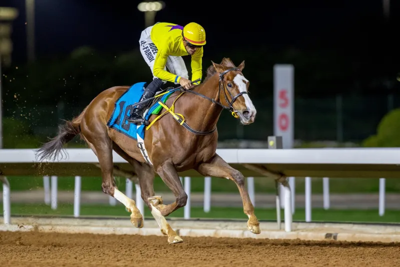 برعاية خادم الحرمين الشريفين.. انطلاق كأس الملك عبد العزيز للخيل