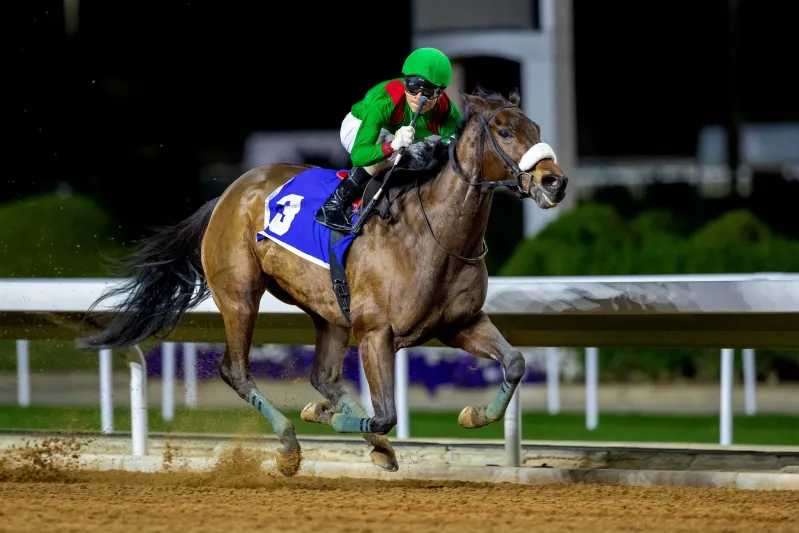 برعاية خادم الحرمين الشريفين.. انطلاق كأس الملك عبد العزيز للخيل
