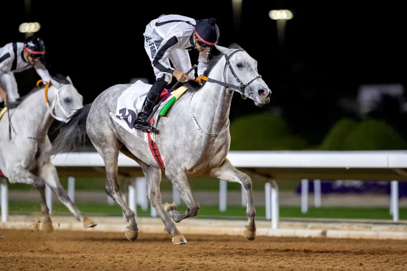 برعاية خادم الحرمين الشريفين.. انطلاق كأس الملك عبد العزيز للخيل