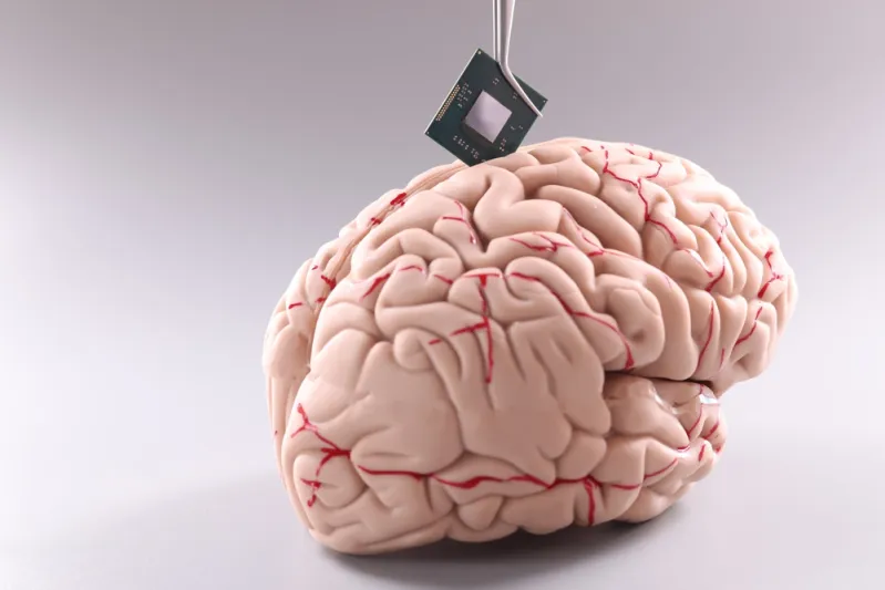 أطباء يكشفون عن أفضل طعام للحفاظ على الصحة العقلية