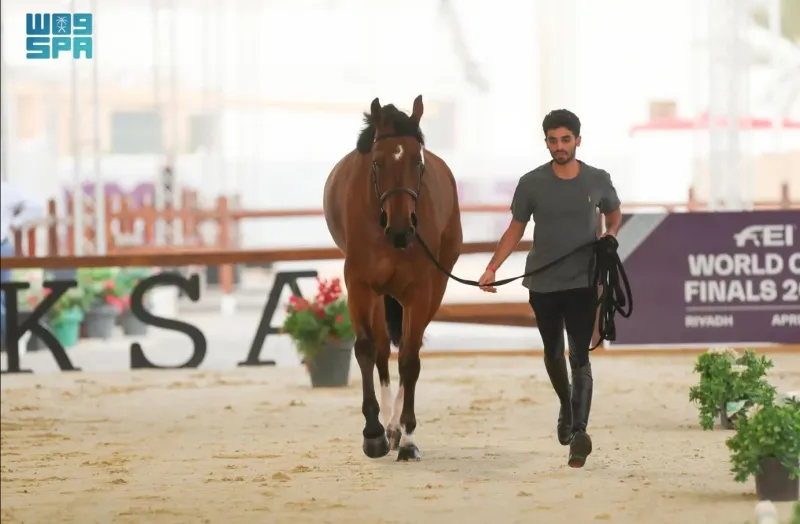 فرسان العالم يبدأون تدريباتهم في مونديال قفز الحواجز والترويض بالسعودية