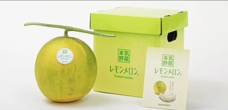 المصدر: suntory.com بطيخ الليمون.. فاكهة جديدة تجمع بين حلاوة الصيف وطعم الحموضة (فيديو)