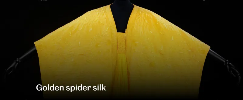 متحف أمريكي يعرض أغلى قطعة قماش في العالم