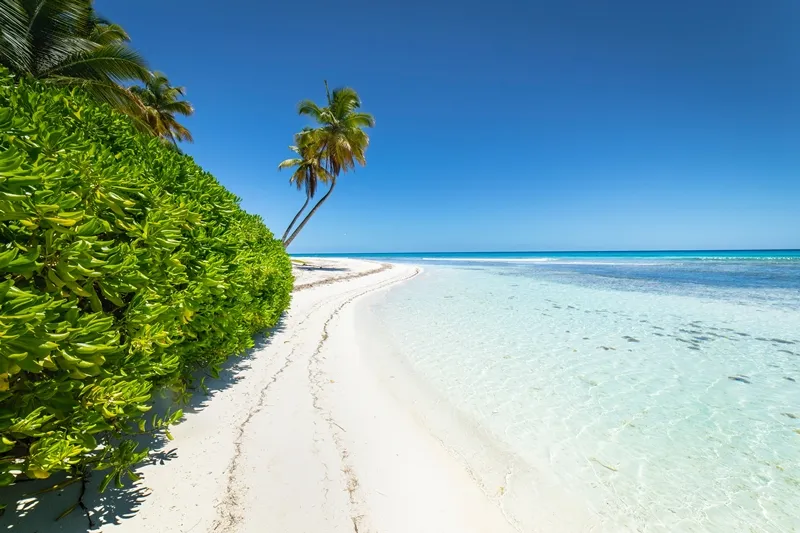 إنقاذ 3 بحارة من الموت المحقق في جزيرة نائية بسبب "كلمة واحدة"!