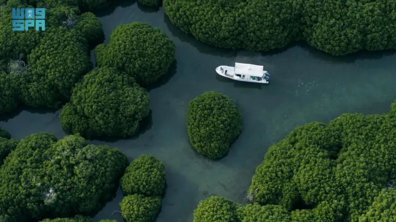 فيلم "هورايزن" السعودي يحصد جائزة "هيرميز" الإبداعية الدولية