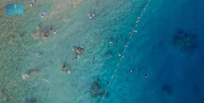 شاطئ "زاعم" الساحر.. رحلة إلى الهدوء والجمال الطبيعي