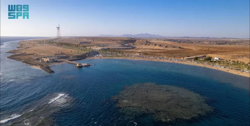 شاطئ "زاعم" الساحر.. رحلة إلى الهدوء والجمال الطبيعي