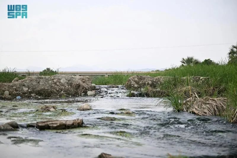 وادي الفطيحة.. الطبيعة الخلابة في أبهى صورة بجازان