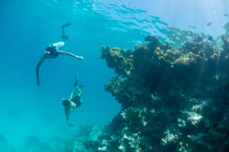 الهيئة السعودية للسياحة تستعد لبرنامج "صيف السعودية" بالمشاركة في "سوق السفر العربي" بدبي