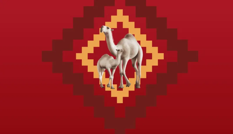 إطلاق "منحة دراسات الإبل" لتعزيز الاهتمام ودعم الأبحاث العلمية