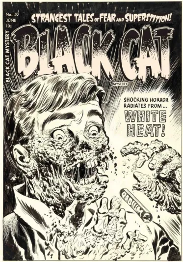 بيع غلاف مغامرات "Black Cat Mystery" في مزاد بـ 840 ألف دولار