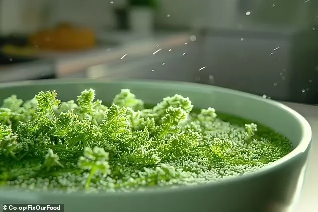 الذكاء الاصطناعي يكشف عن طعام البشر في المستقبل.. مم يتكون؟