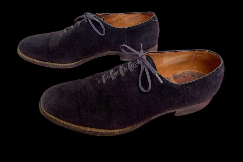 "ملك الروك" يرقص مرة أخرى.. حذاء إلفيس بريسلي للبيع في مزاد بـ152 ألف دولار